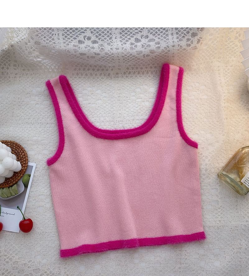 Trim Neck Contrast Scoop Top Crop Knit