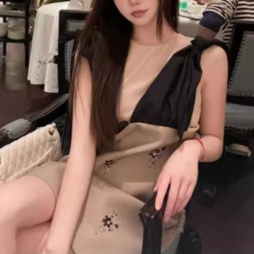 Sleeveless V-Neck Floral Embroidered Mini A-Line Dress