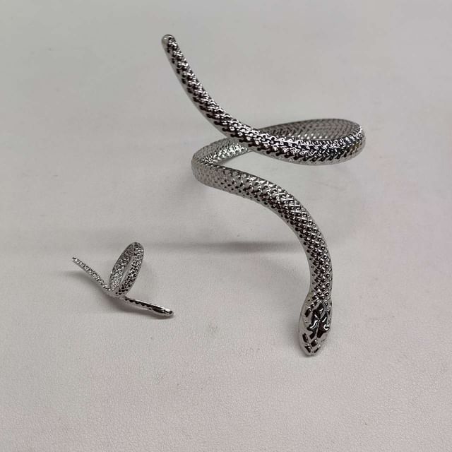 Set: Bangle Snake + Ring