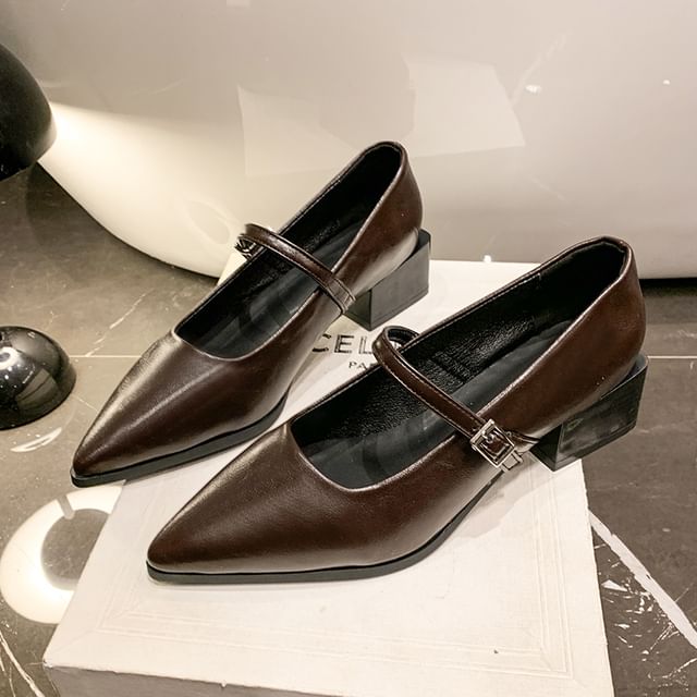 Shoes Mary Jane Pointy Heel Chunky