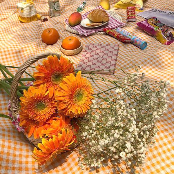 Colorful Gingham Tablecloth