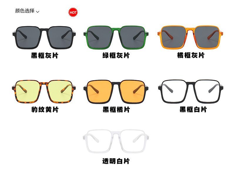 Resin Square Sunglasses