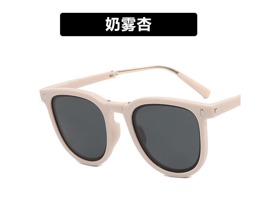 Foldable Sunglass Sunglasses / Case Retro