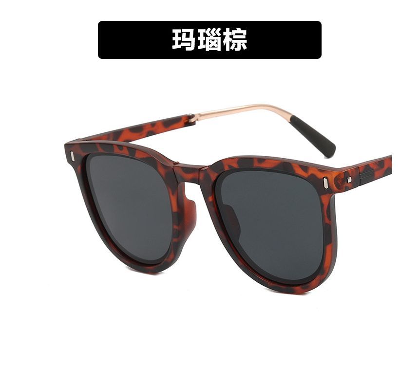 Foldable Sunglass Sunglasses / Case Retro