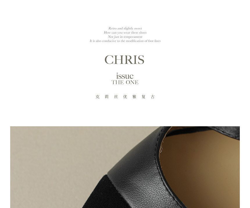 Strap Pointed Flats Buckled