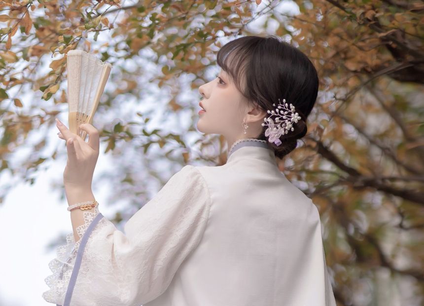 Lolita 3/4-Sleeve Qipao Top And High Rise Overlay Midi A-Line Skirt Set