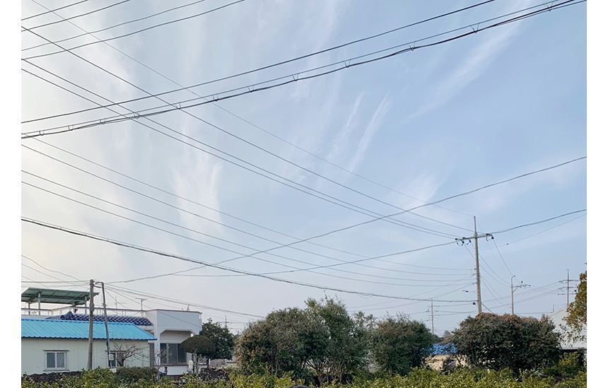 Long-Sleeve Crew Neck Plain Maxi T-Shirt Dress