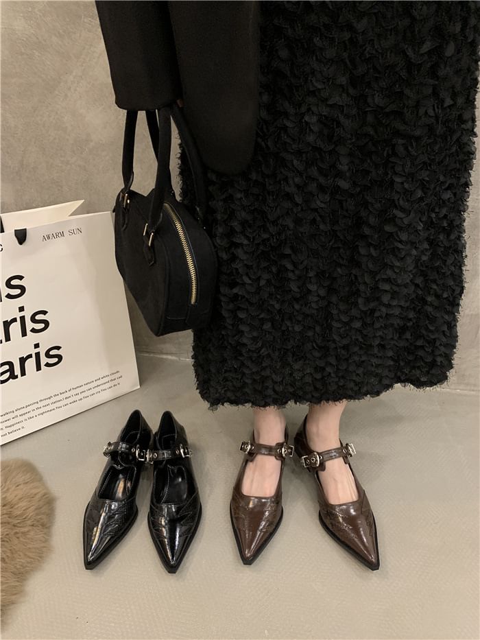 Jane Shoes Pointy Mary Paneled