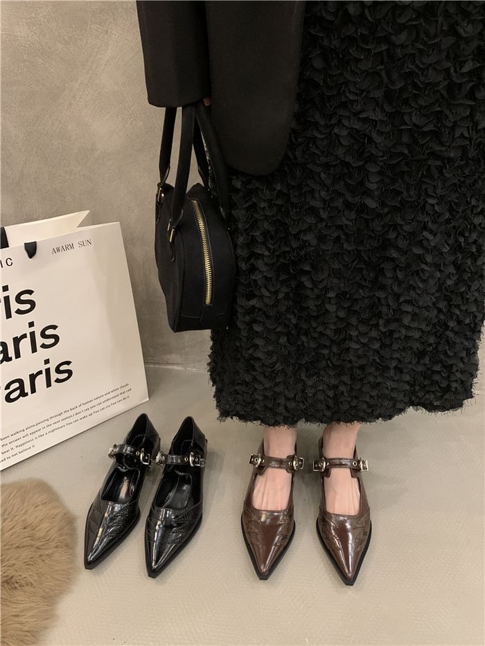 Jane Shoes Pointy Mary Paneled