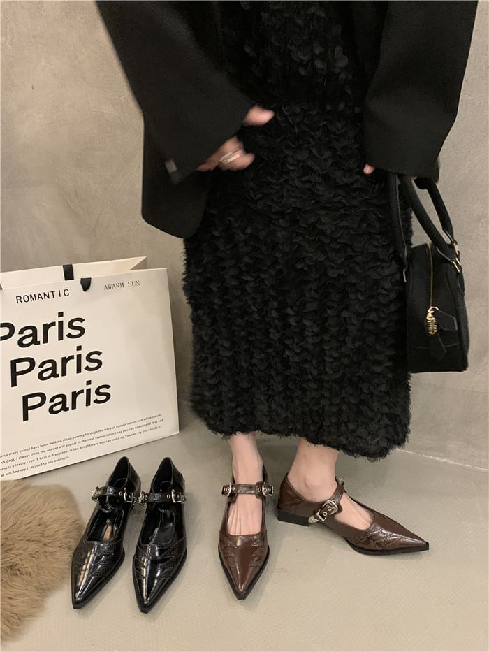 Jane Shoes Pointy Mary Paneled