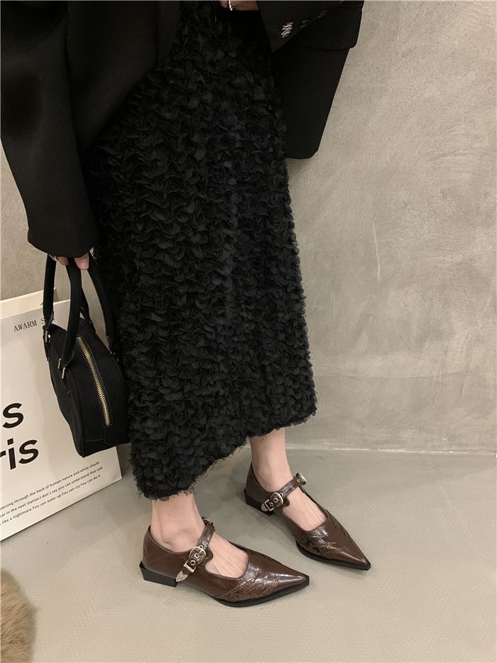 Jane Shoes Pointy Mary Paneled