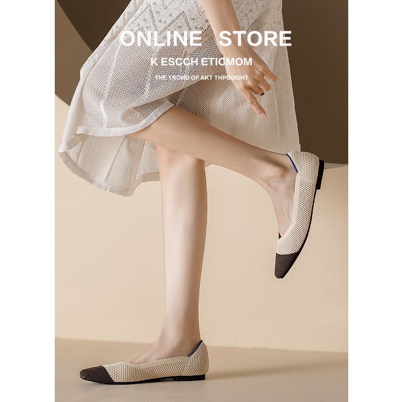 Plain Pointed Flats