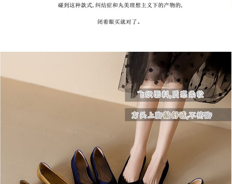 Plain Pointed Flats