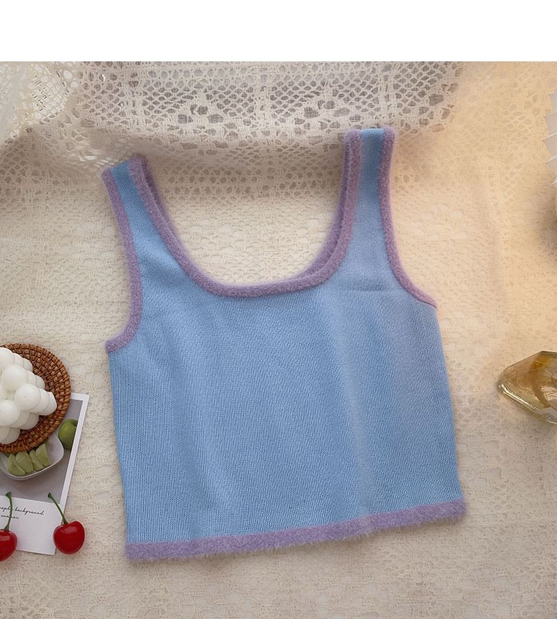 Trim Neck Contrast Scoop Top Crop Knit