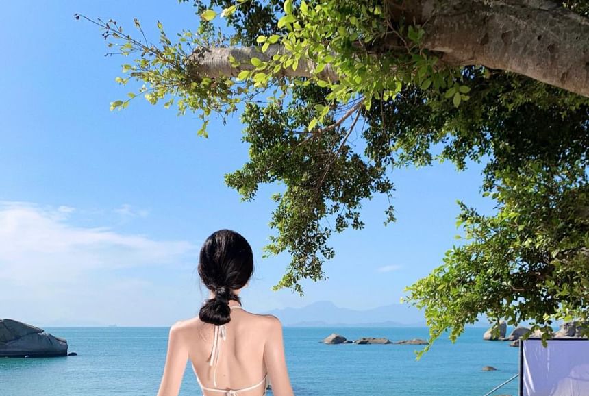 A-Line Dress Midi Neck Halter Embroidered