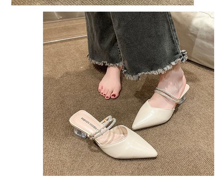 Mules Pointed Toe Heel Mary Jane Block