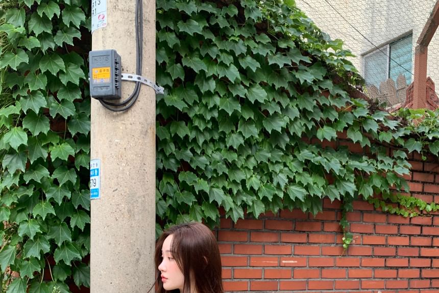 Short-Sleeve Collared Button-Up Plain Knit Top