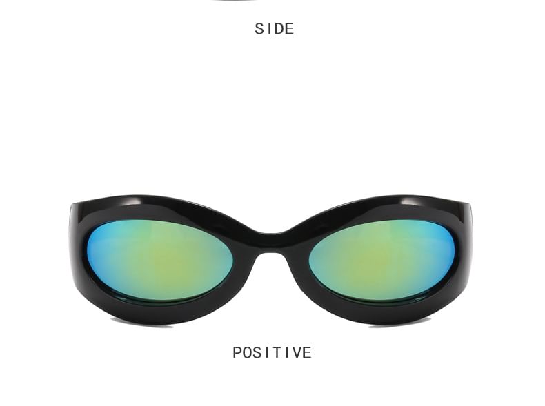 Oval Rimmed Thick Sunglasses