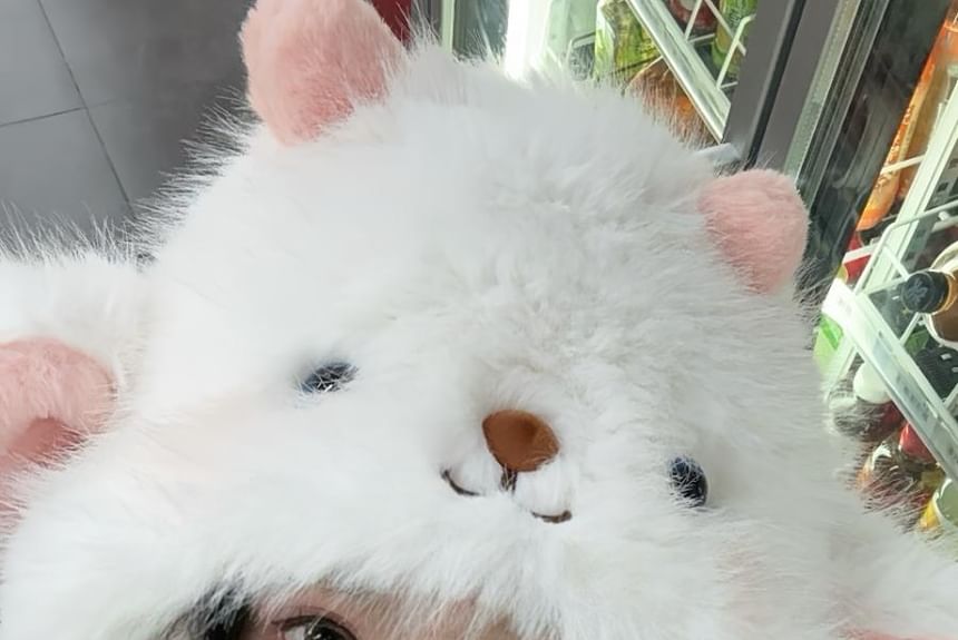 Cartoon Hat Animal Fluffy