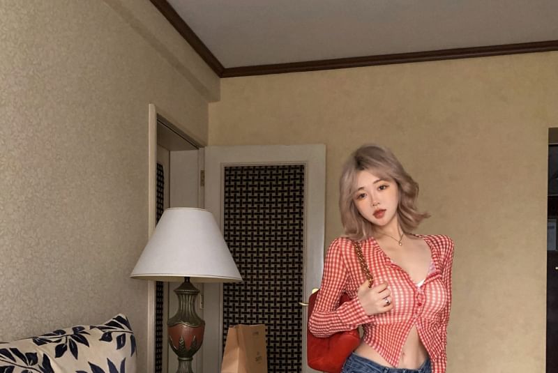 Crop Long-Sleeve Button-Up Mesh Gingham Top
