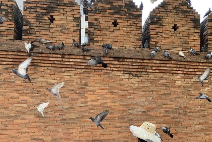 Dress Wave Maxi Halter Sleeveless Neck A-Line Striped