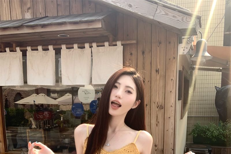 Embroidered Dress Plain Spaghetti Mini A-Line Eyelet Strap