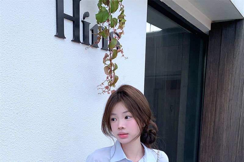 Collared Lace Shirt with Pencil Skirt Set