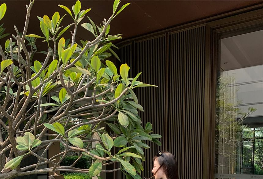 Skirt Plain Fit Slim A-Line Short-Sleeve / Crop Mock Tee Mid Waist Neck Maxi