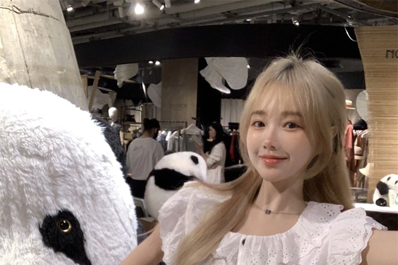 Eyelet Blouse Collared Embroidered Sleeve Cap Ruffle Plain