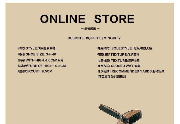 Chunky Sandals Pointed Heel