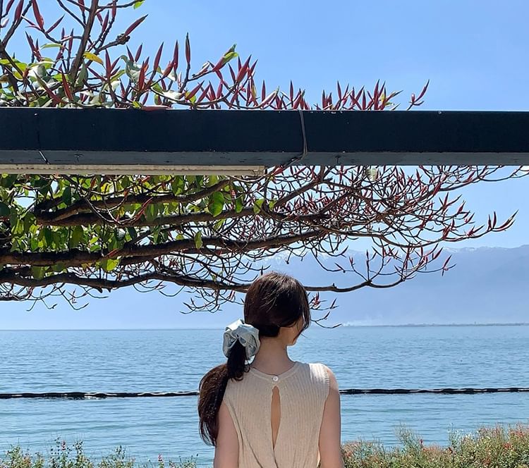 Crew Sleeveless Plain Top Neck Knit Ribbed