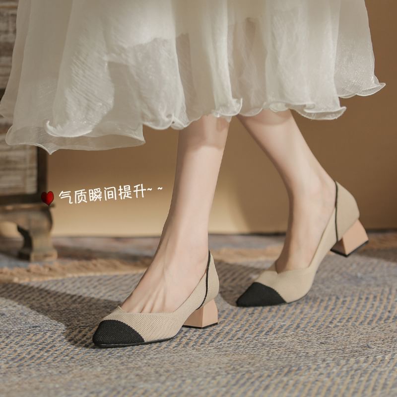 Pumps Heel Pointed Chunky