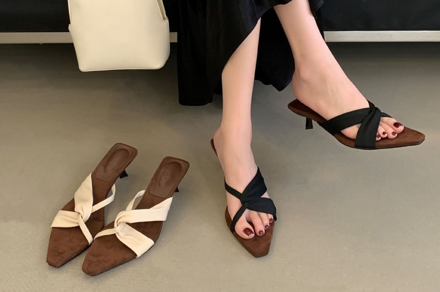 Low Heel Pointy Sandals