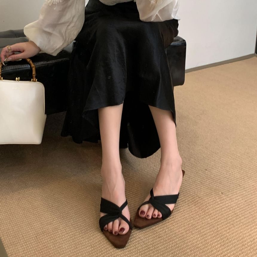 Low Heel Pointy Sandals