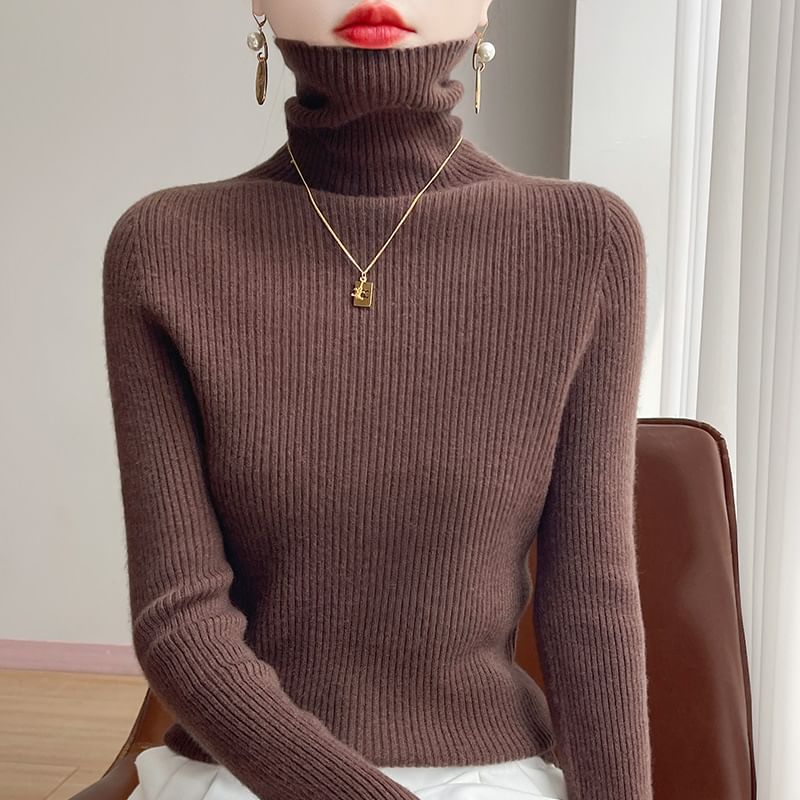 Plain Ribbed High Neck Long-Sleeved Knit Top
