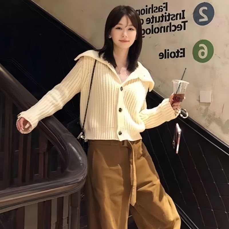 Chunky Knit Collared Plain Cardigan