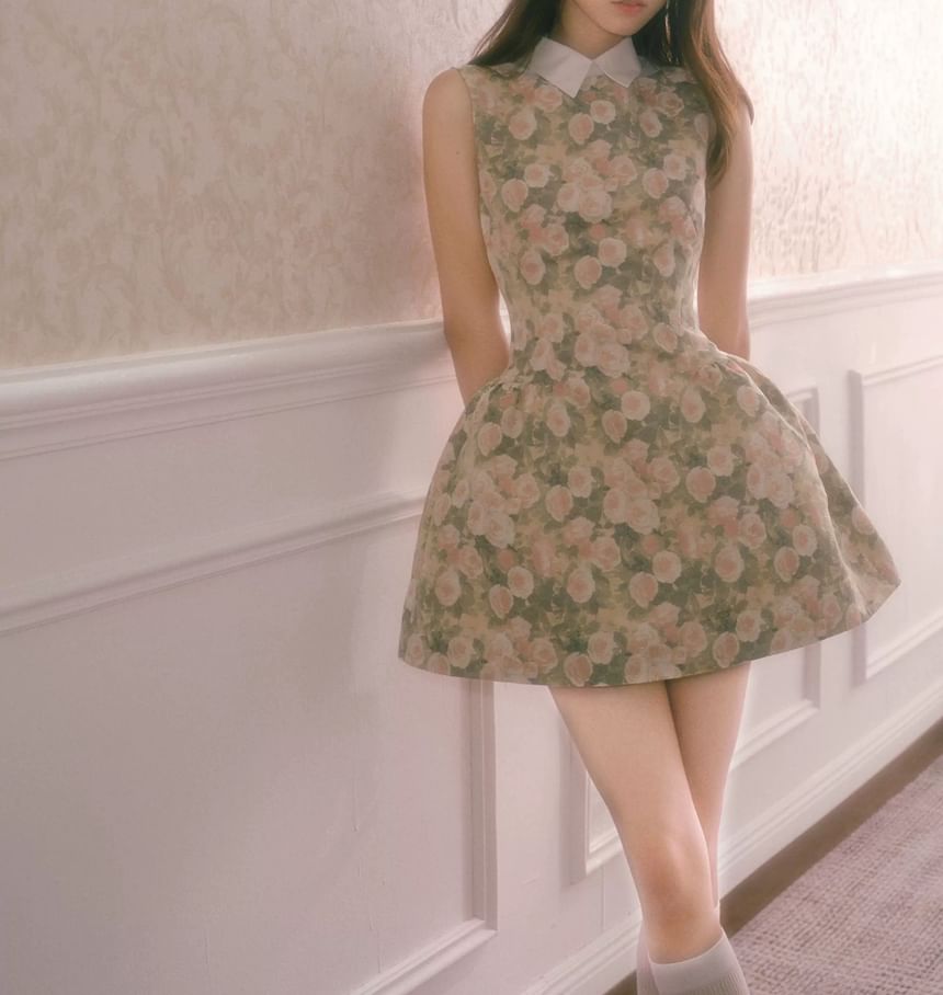 Sleeveless Collar Floral A-Line Dress