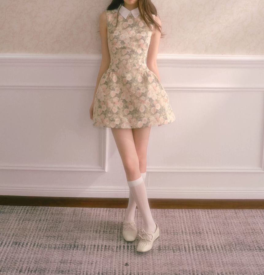 Sleeveless Collar Floral A-Line Dress
