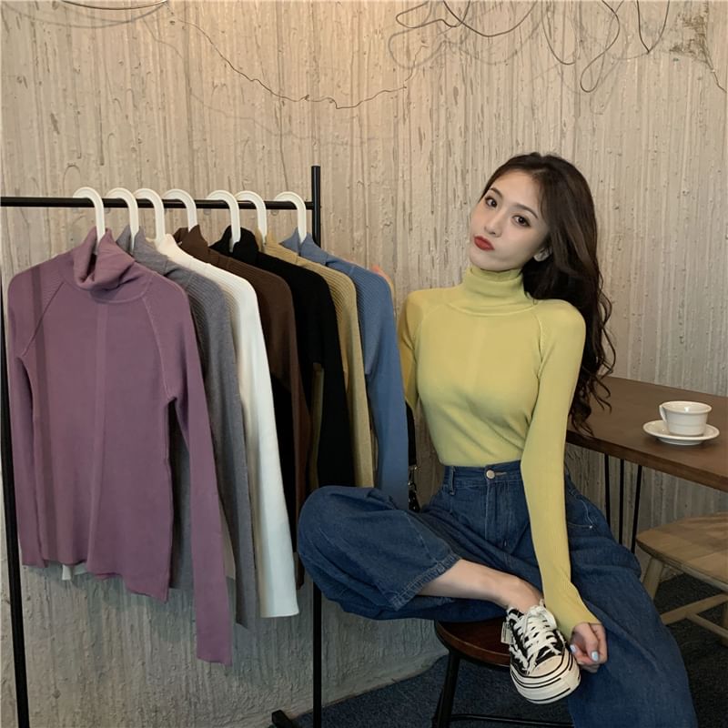 Turtleneck Ribbed Long Sleeve Knit Top