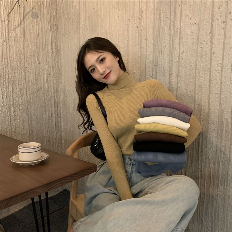 Turtleneck Ribbed Long Sleeve Knit Top