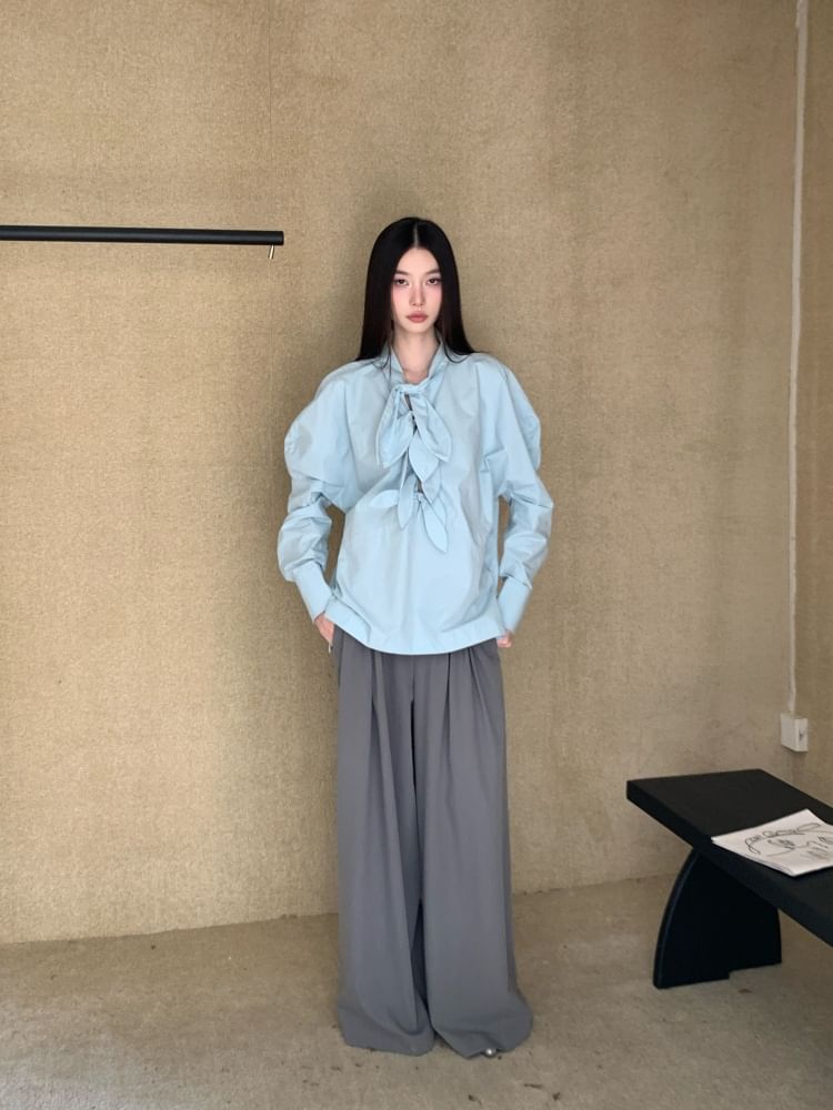 Ruffled Long Sleeve Blouse