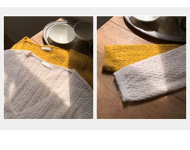 Scoop Neck Pointelle Sweater and Camisole Set