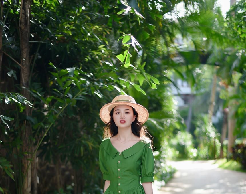 Elbow-Sleeve V-Neck Collared Plain Maxi A-Line Dress