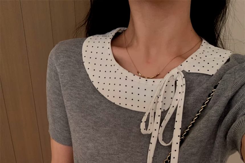 Dotted Panel Knit Top with Short Sleeves