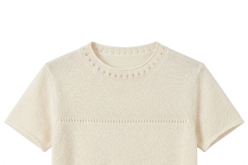 Short Sleeve Crew Neck Perforated Knit Top