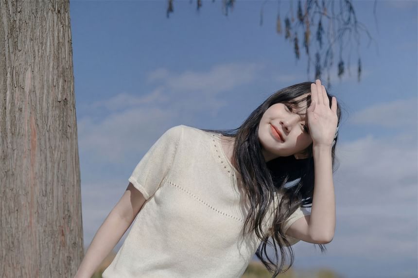 Short Sleeve Crew Neck Perforated Knit Top