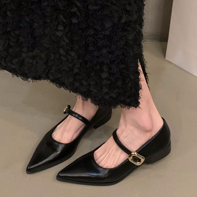 Shoes Pointy Mary Jane Toe