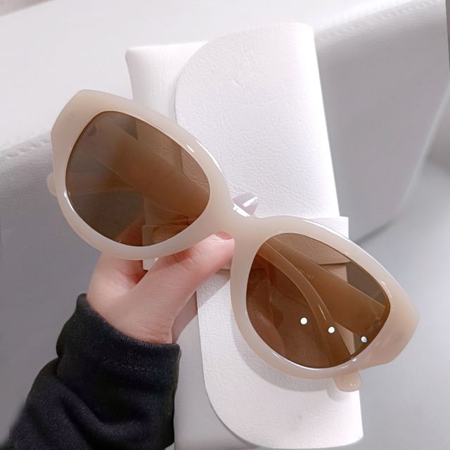 Polarized Sunglasses Vintage