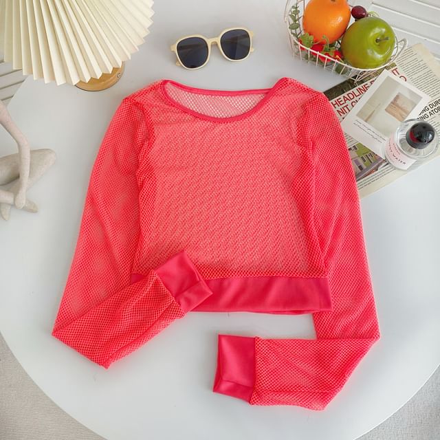 Long-Sleeve Crew Neck Plain Mesh Crop Top