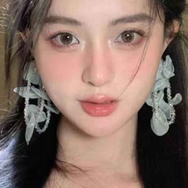 Earring Drop Mesh Beaded